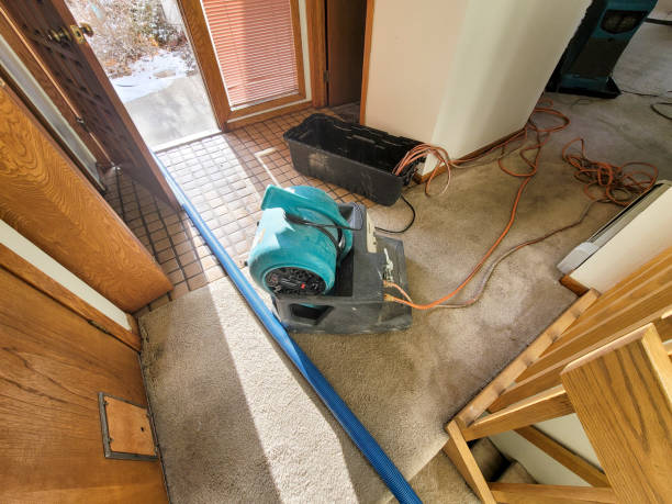  Archie, MO Water damage restoration Pros