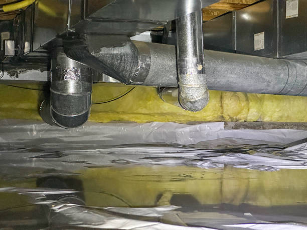 Best Water damage cleanup near me  in Archie, MO